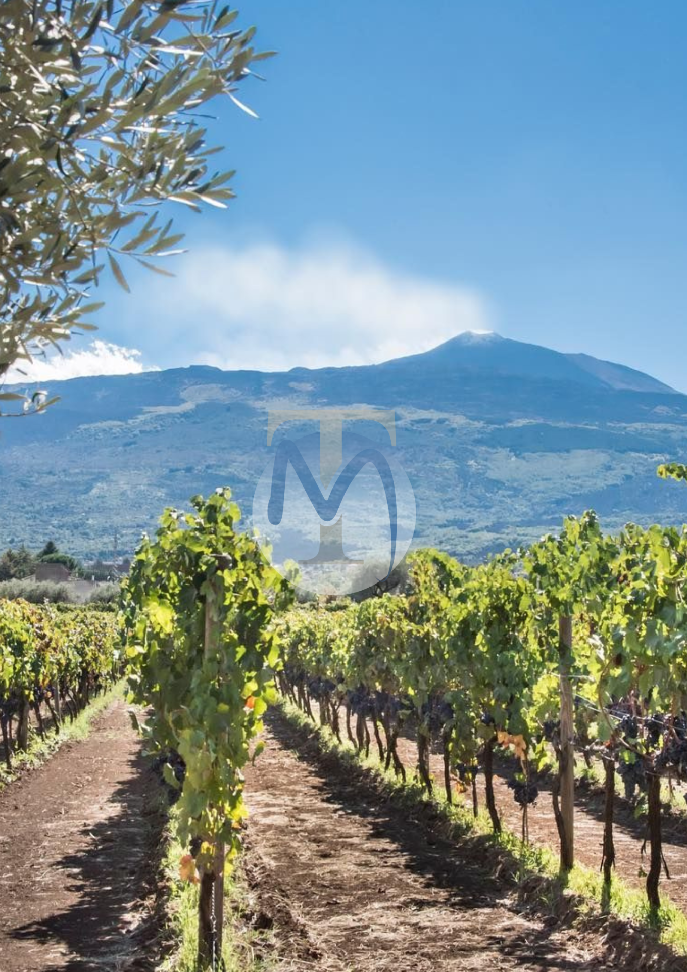 Agence immobilière de Terre Marine Village